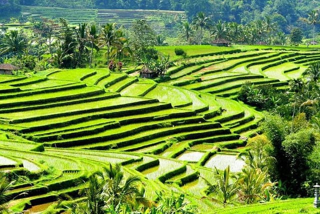 Bedugul Tanah Lot Jatiluwih Rice Terraces UNESCO Site