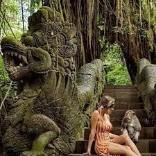 Ubud Ricefield and Temple Tour