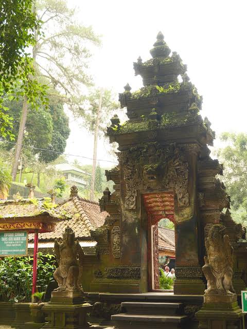 Ubud Ricefield and Temple Tour extra 1