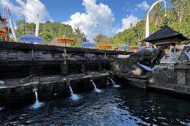 Ubud Waterfall and Art Village Tour extra 2